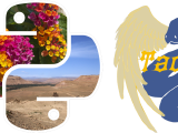 Pillow and Tachyon logos