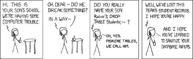 Did you really name your son Raivo&rsquo;); DROP TABLE Students;&ndash; ? Oh, yes. Pisikene Tables, we call him.